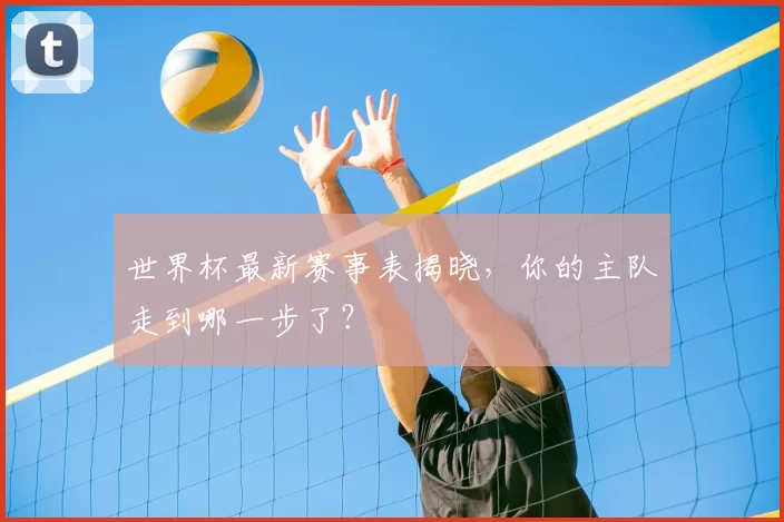 世界杯最新赛事表揭晓，你的主队走到哪一步了？