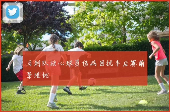 马刺队核心球员伤病困扰季后赛前景堪忧