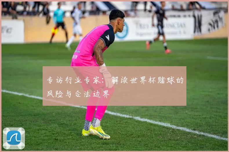 专访行业专家：解读世界杯赌球的风险与合法边界