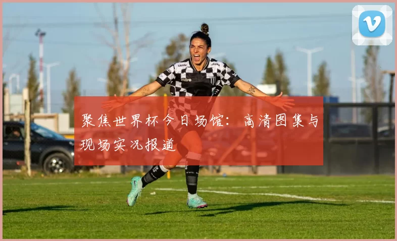 聚焦世界杯今日场馆：高清图集与现场实况报道