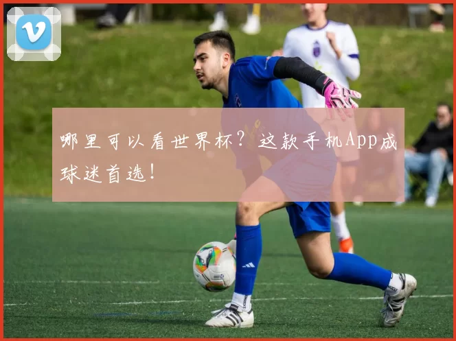 哪里可以看世界杯?这款手机App成球迷首选!