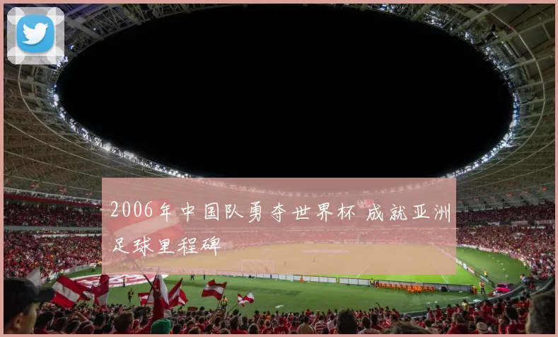 2006年中国队勇夺世界杯 成就亚洲足球里程碑