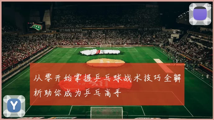 从零开始掌握乒乓球战术技巧全解析助你成为乒乓高手