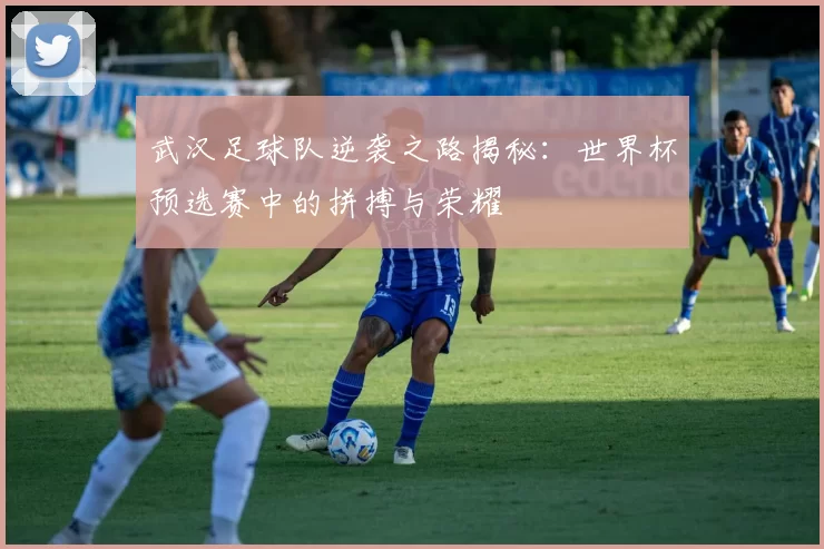 武汉足球队逆袭之路揭秘:世界杯预选赛中的拼搏与荣耀