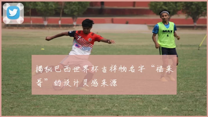 揭秘巴西世界杯吉祥物名字“福来哥”的设计灵感来源