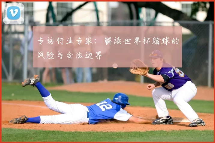 专访行业专家:解读世界杯赌球的风险与合法边界
