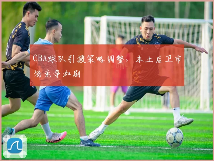 CBA球队引援策略调整，本土后卫市场竞争加剧