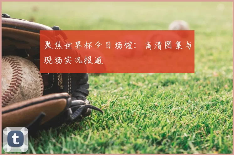 聚焦世界杯今日场馆：高清图集与现场实况报道