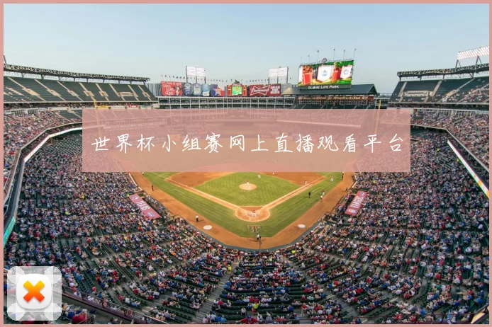 世界杯小组赛网上直播观看平台
