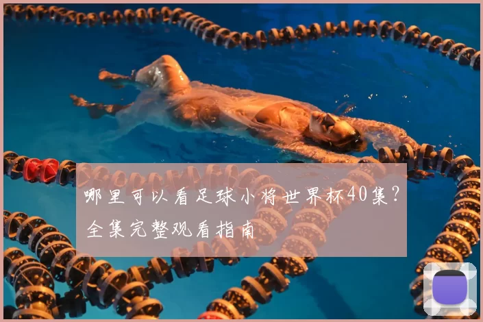 哪里可以看足球小将世界杯40集?全集完整观看指南